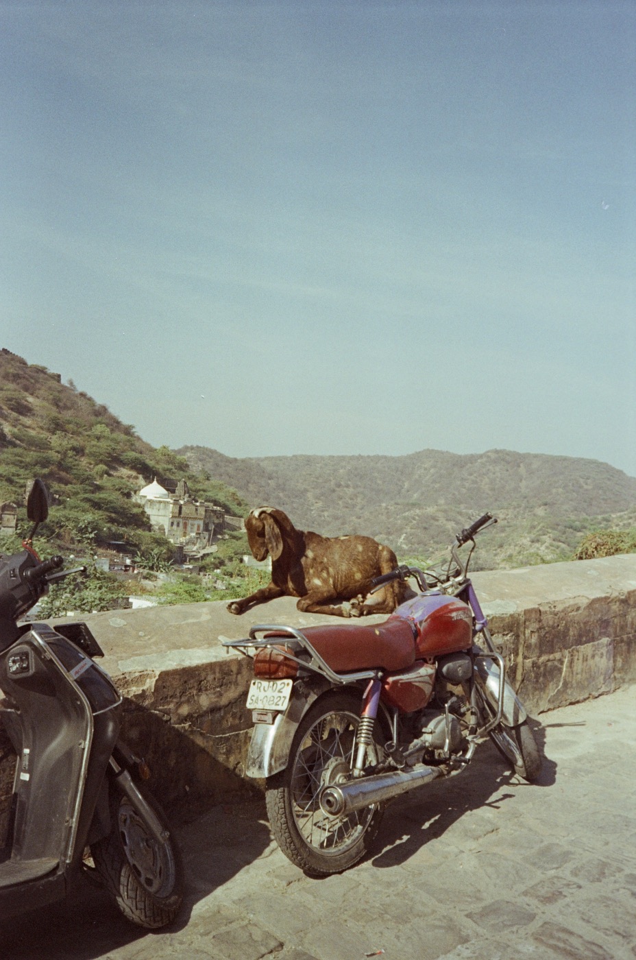 35 mm frame